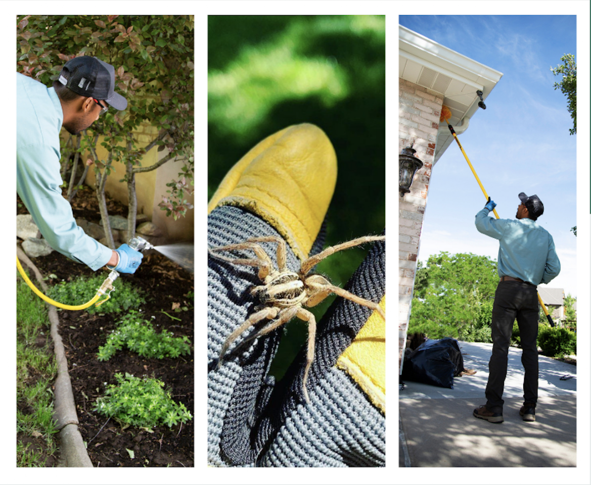 Greenway Pest Solutions project